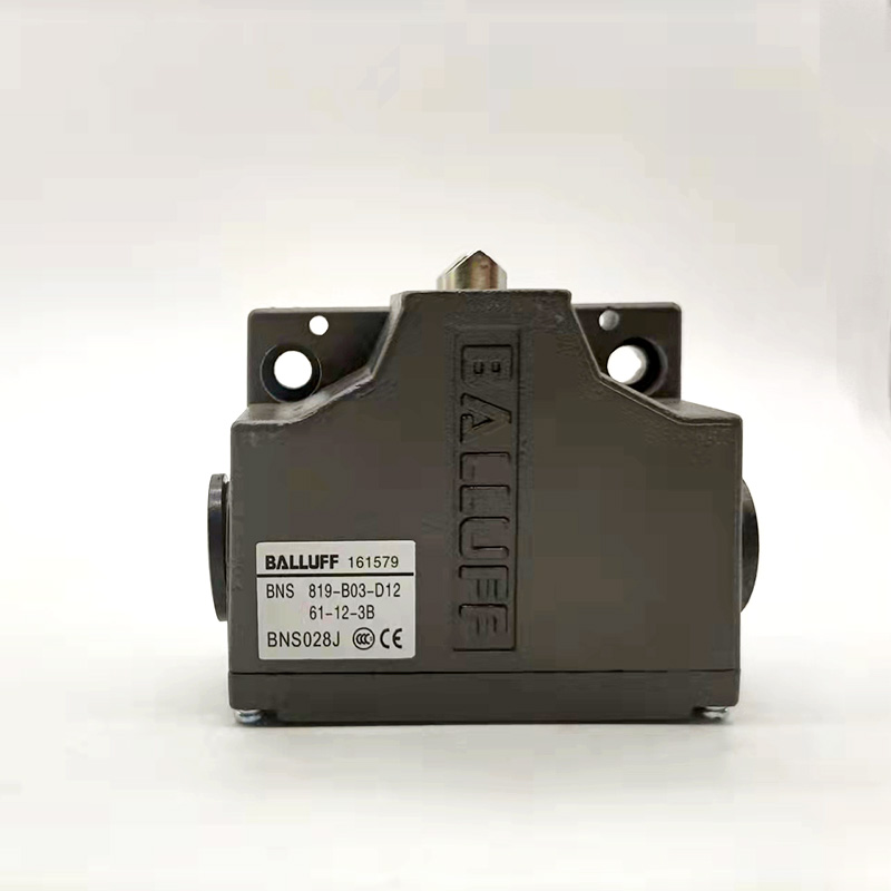 Travel Switch BNS819-B02-D12-6 - Travel Accessories Manufacturer incelemesi ve fiyatı